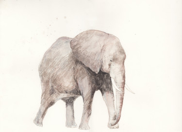 elephant-40x30.jpg