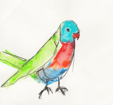 Bird of Colour