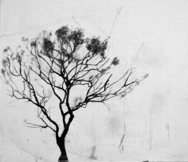 Tree Drawing 2